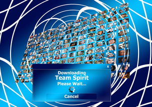 开云体育官网app-球迷盛典：现场氛围与体育精神的融合，球迷知识